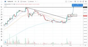 hseg - Shyam Advisory