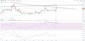 SUNTV - Shyam Advisory