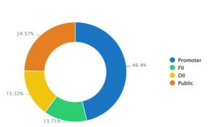 R 17 - Shyam Advisory