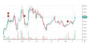 R 19 - Shyam Advisory