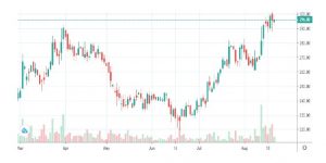 R 23 - Shyam Advisory